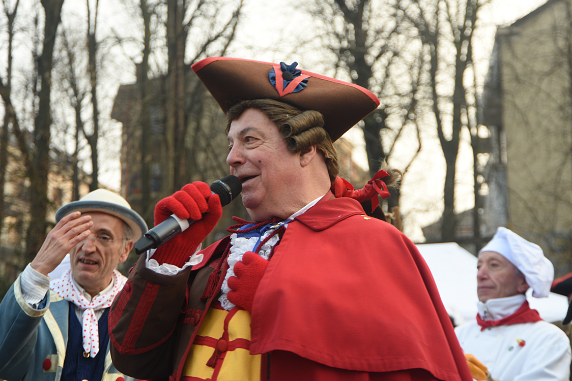 Sfilata carri Carnevale di Torino_264.jpg